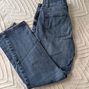 Talbots Women's Straight Leg Blue Jeans